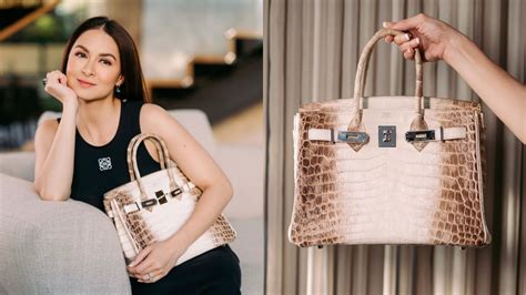 himalaya birkin price limit